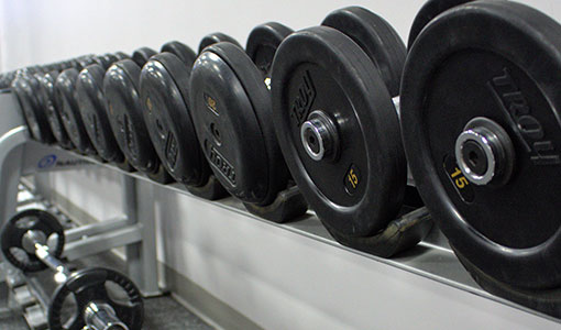 A neatly organized row of free weights lines a wall shelf.